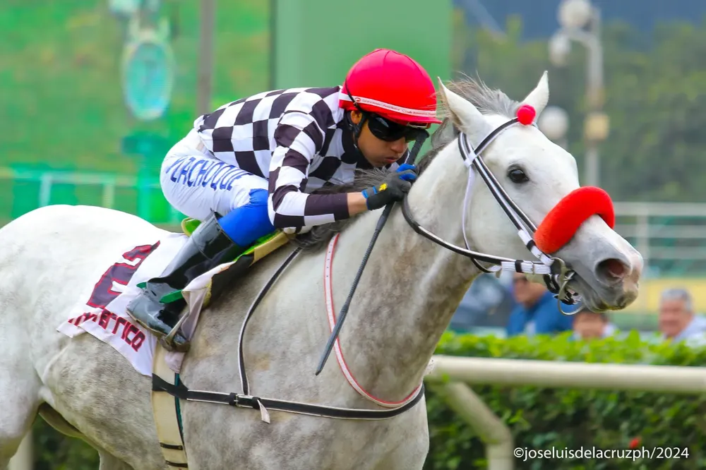 WhatsApp Image 2024-08-18 at 18.40.58 (1)