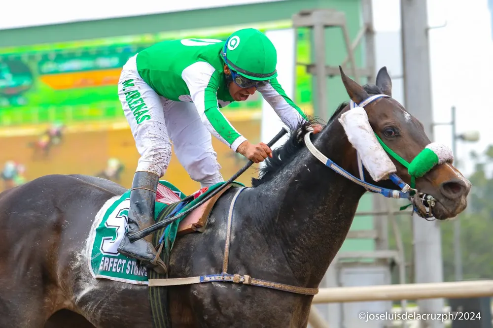 WhatsApp Image 2024-09-29 at 10.58.25