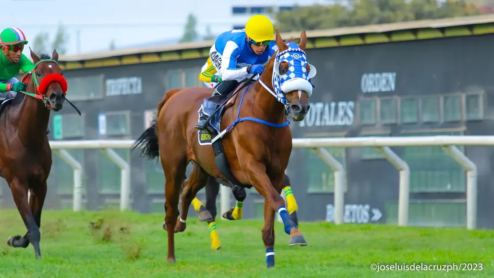 WhatsApp Image 2023-12-22 at 7.23.18 AM