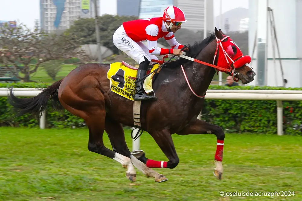 WhatsApp Image 2024-10-07 at 08.50.55