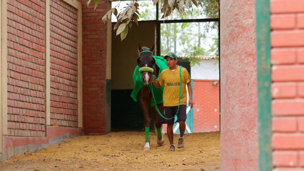 WhatsApp Image 2023-09-07 at 1.01.18 PM