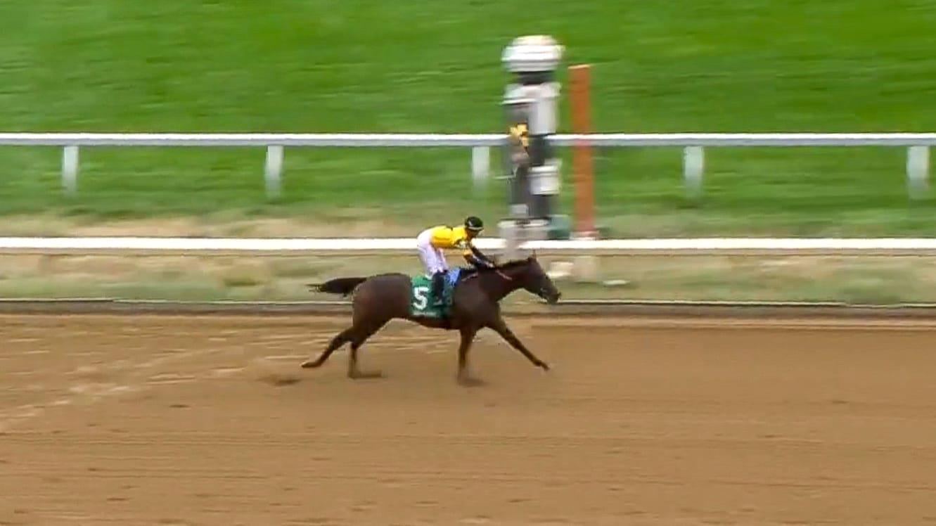 WhatsApp Image 2023-10-14 at 1.35.02 PM