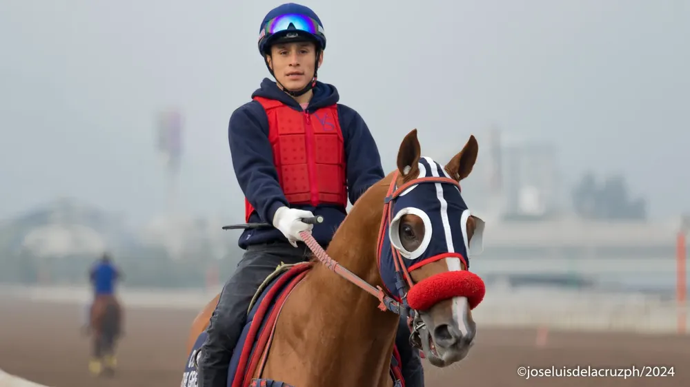 WhatsApp Image 2024-07-06 at 09.34.13