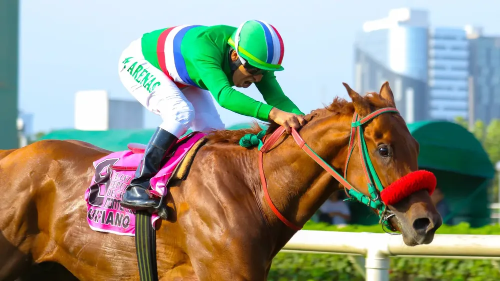 WhatsApp Image 2023-11-08 at 10.38.09 AM