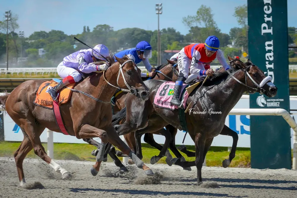 WhatsApp Image 2026-01-06 at 2.29.55 PM