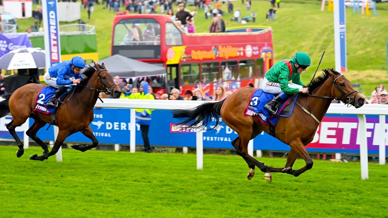 WhatsApp Image 2024-05-31 at 13.59.17