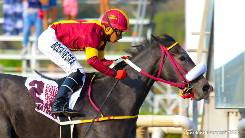 WhatsApp Image 2024-04-21 at 17.12.49 (1)