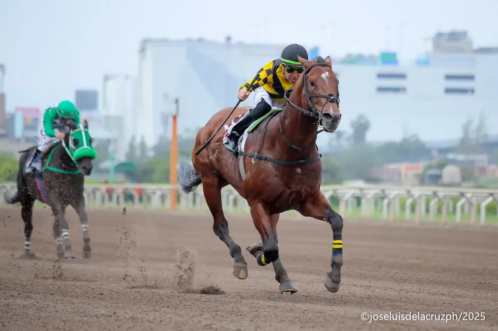 WhatsApp Image 2025-11-17 at 3.20.51 PM