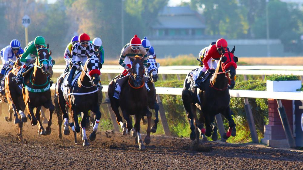 WhatsApp Image 2023-08-26 at 10.42.15 AM