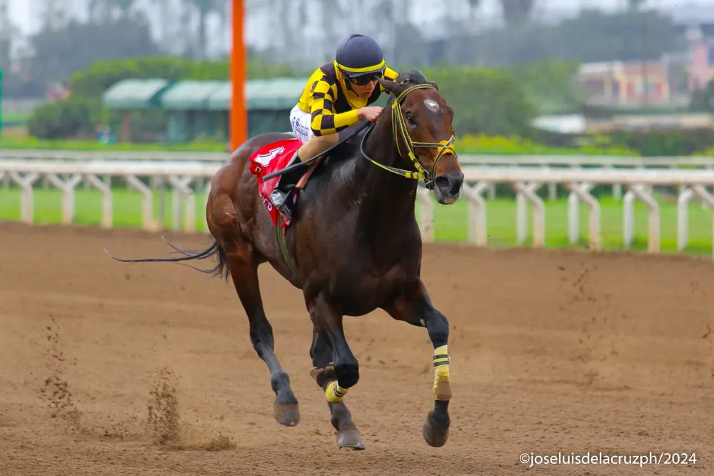 WhatsApp Image 2024-08-13 at 13.45.52