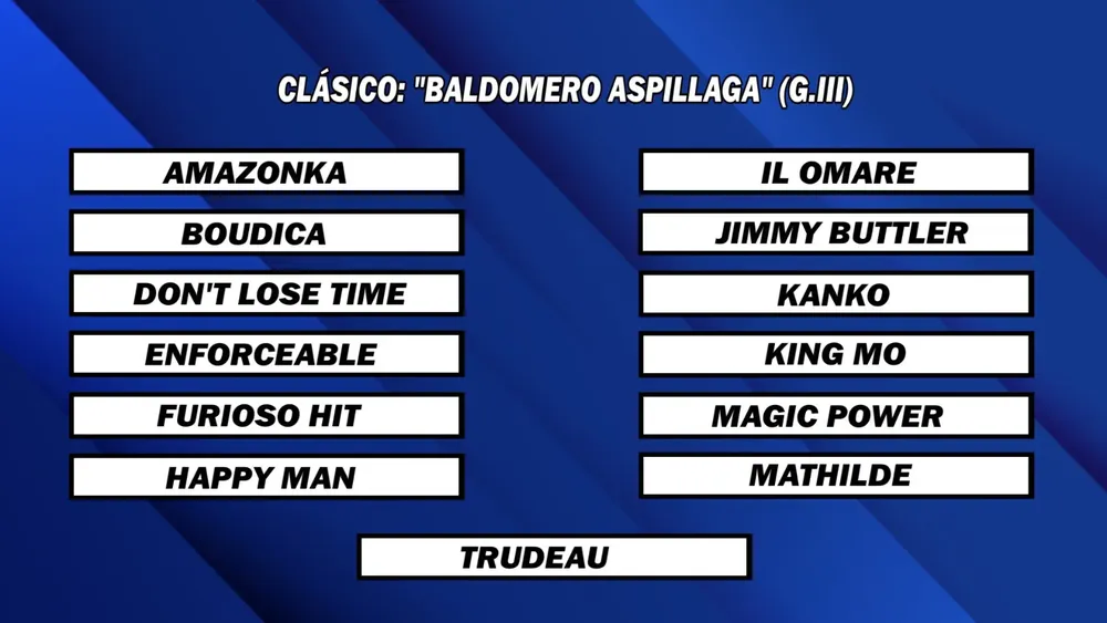 WhatsApp Image 2025-08-25 at 2.03.52 PM