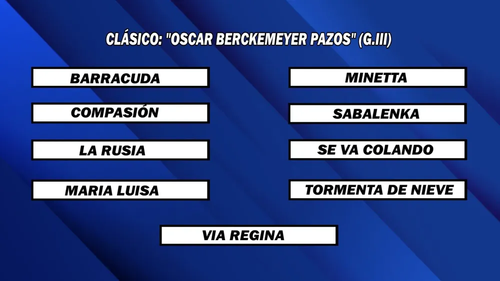 WhatsApp Image 2025-10-20 at 1.57.34 PM (1)