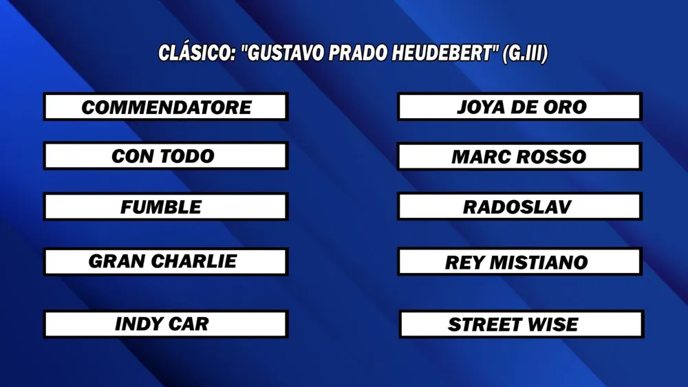 WhatsApp Image 2025-10-20 at 1.57.35 PM