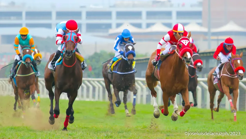 WhatsApp Image 2023-12-04 at 2.28.44 PM