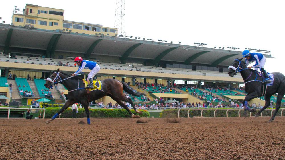 WhatsApp Image 2023-07-23 at 3.41.05 PM