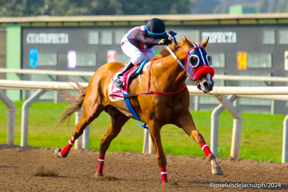 WhatsApp Image 2024-08-04 at 20.34.48 (1)