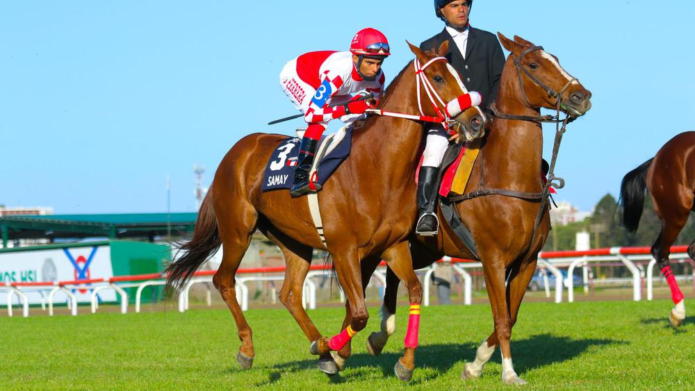 WhatsApp Image 2023-10-17 at 6.29.16 PM