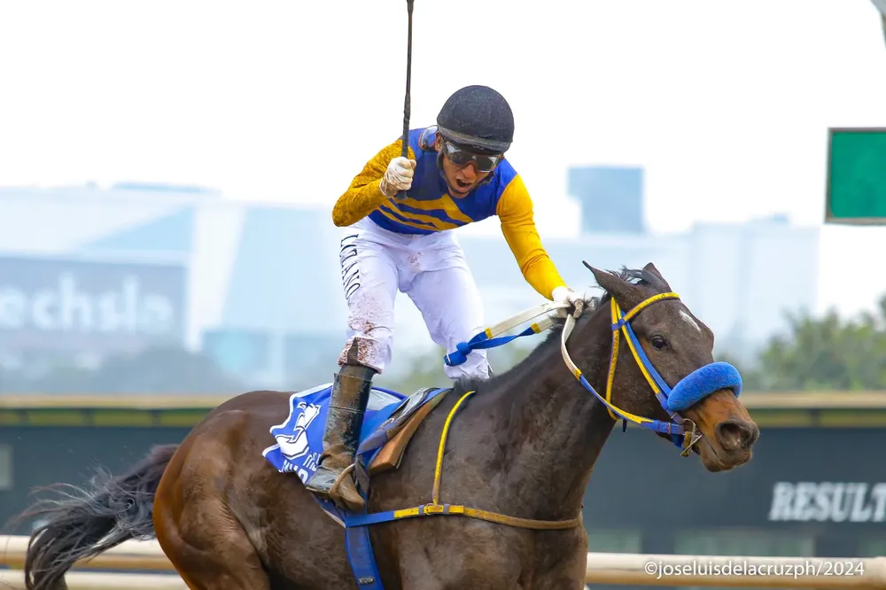 WhatsApp Image 2024-09-29 at 10.55.47