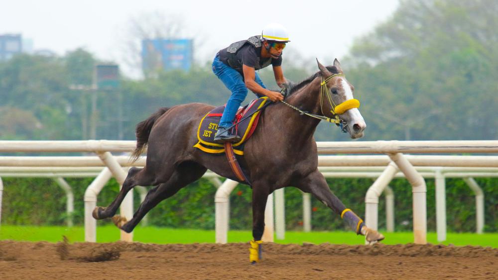 WhatsApp Image 2023-07-17 at 10.09.06 AM