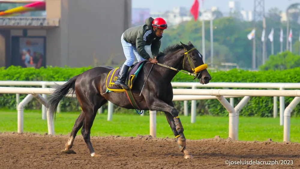 WhatsApp Image 2023-12-06 at 11.25.56 AM