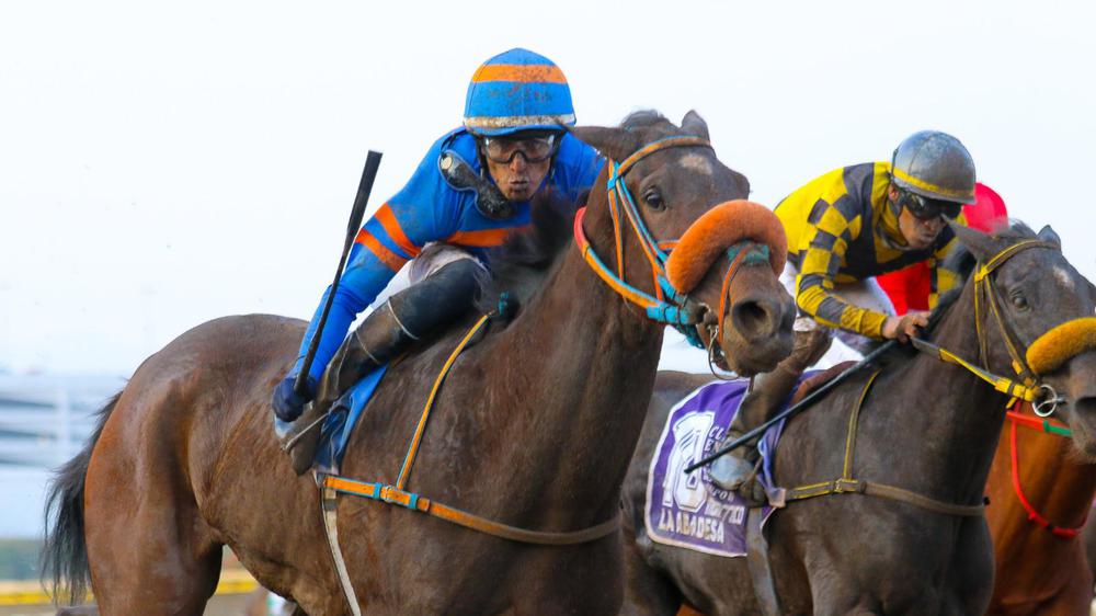 WhatsApp Image 2023-10-01 at 5.28.32 PM