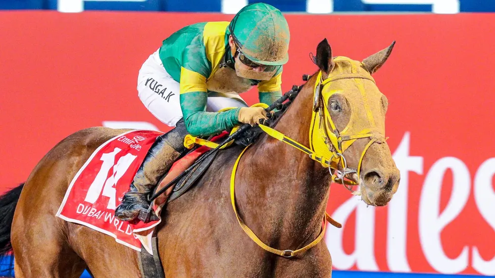 WhatsApp Image 2024-03-17 at 9.32.07 AM