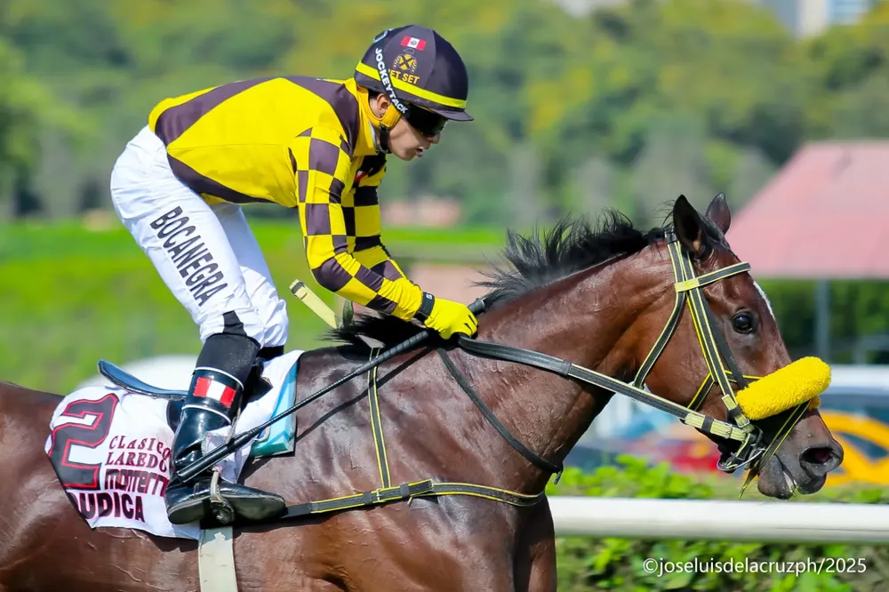 WhatsApp Image 2025-12-27 at 5.03.49 PM