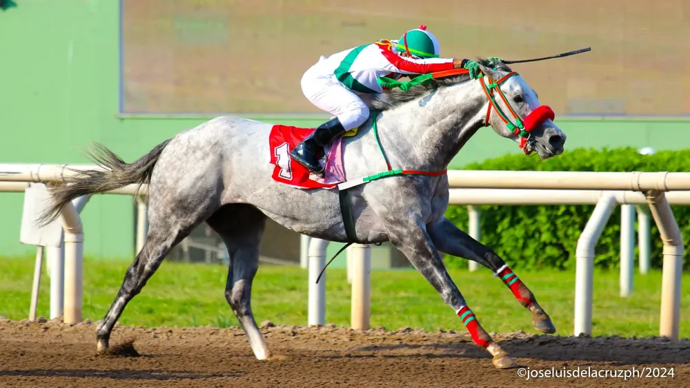 WhatsApp Image 2024-05-12 at 15.59.23