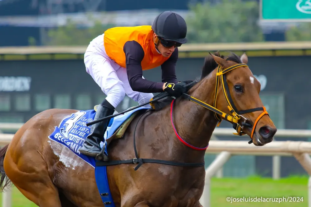 WhatsApp Image 2024-08-13 at 13.31.09