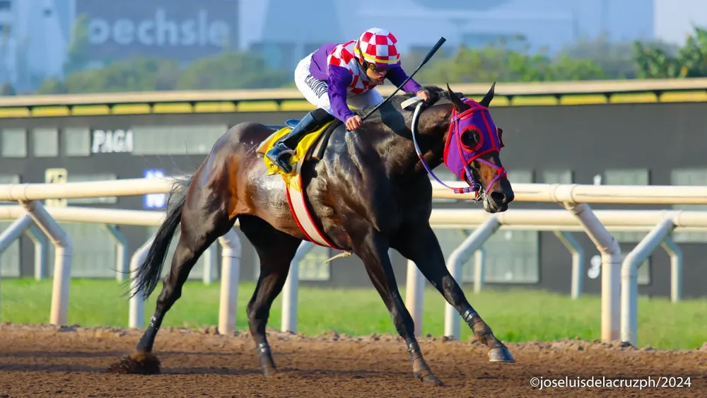 WhatsApp Image 2024-04-29 at 17.12.19