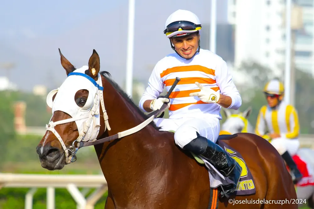 WhatsApp Image 2024-08-01 at 19.25.29