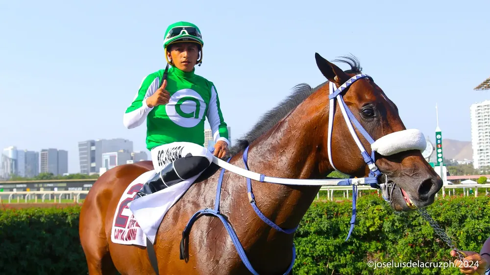 WhatsApp Image 2024-05-20 at 13.54.32