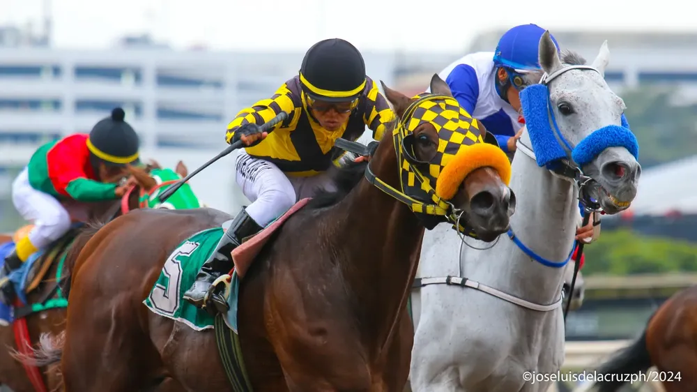 WhatsApp Image 2024-05-20 at 16.33.33