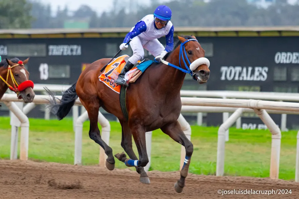 WhatsApp Image 2024-07-21 at 21.53.30 (1)