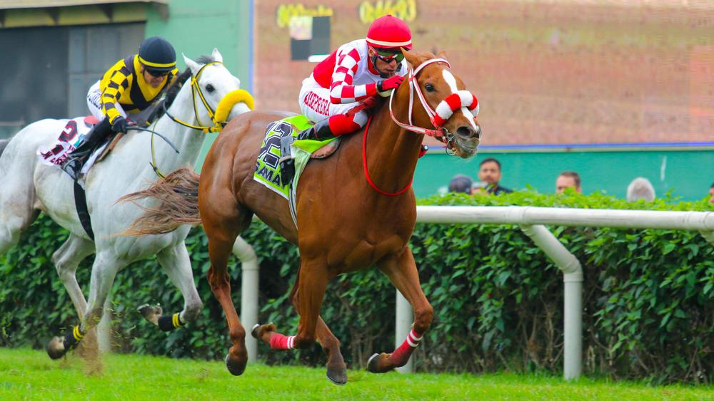 WhatsApp Image 2023-08-31 at 6.00.38 PM