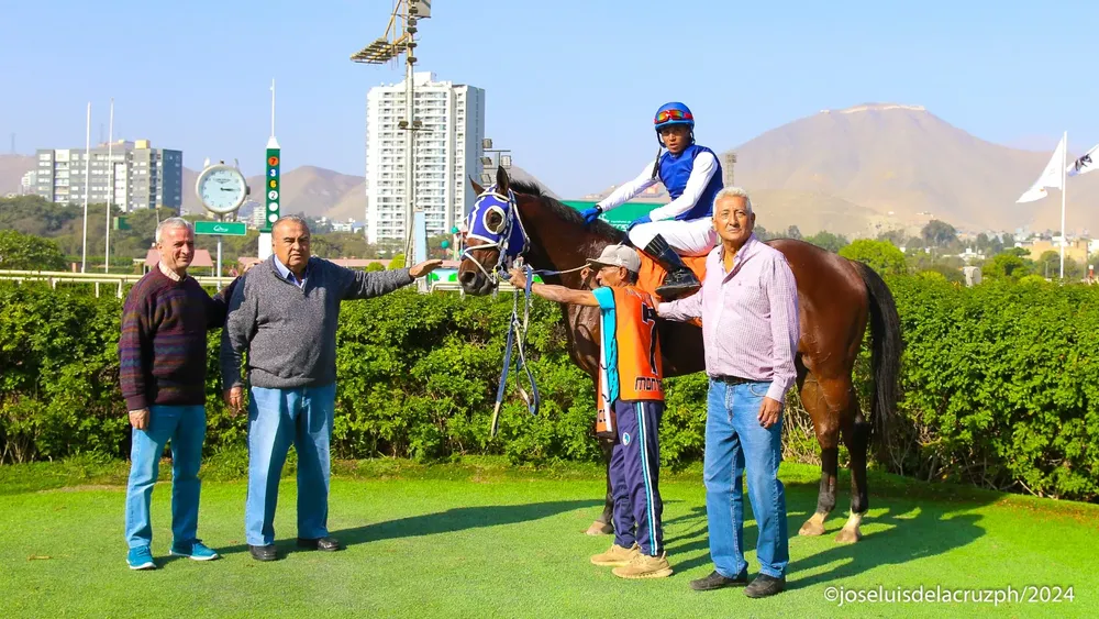 WhatsApp Image 2024-05-25 at 15.17.43