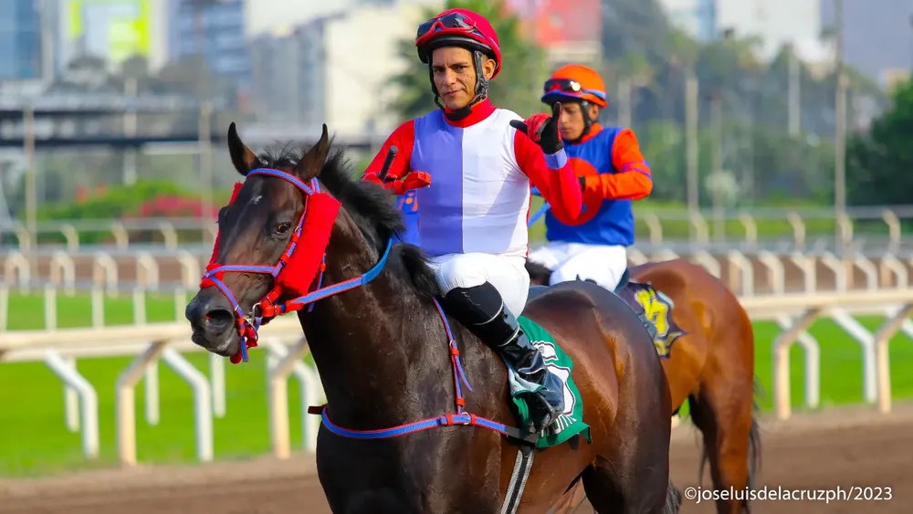 WhatsApp Image 2023-12-05 at 12.18.10 PM