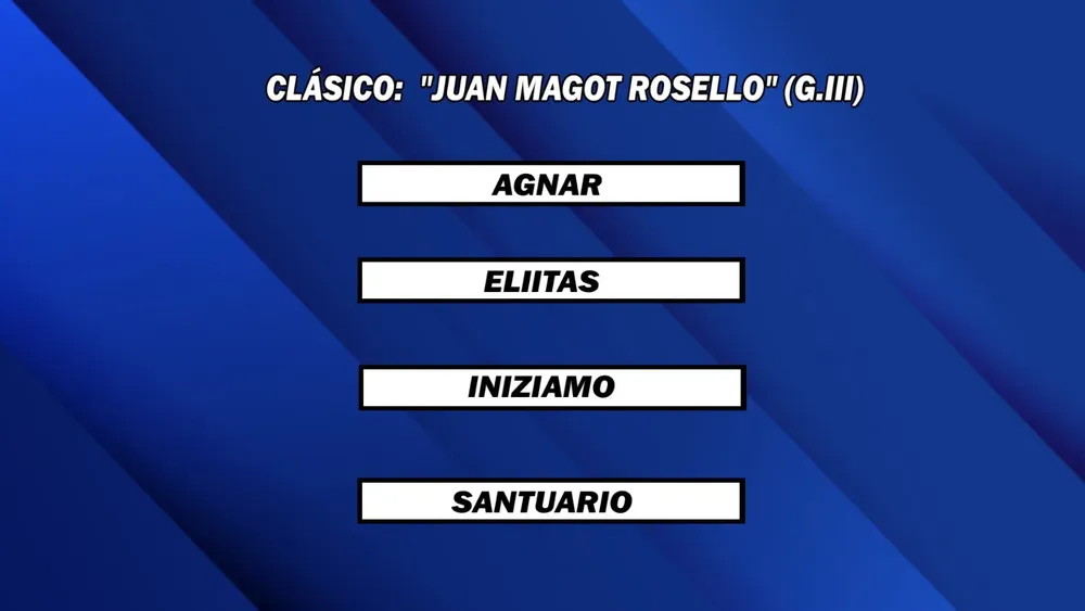 WhatsApp Image 2025-11-04 at 1.30.48 PM