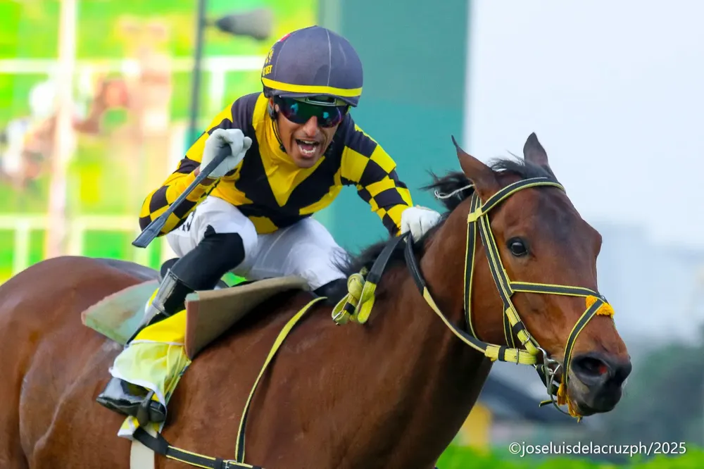 WhatsApp Image 2025-10-12 at 6.24.06 PM