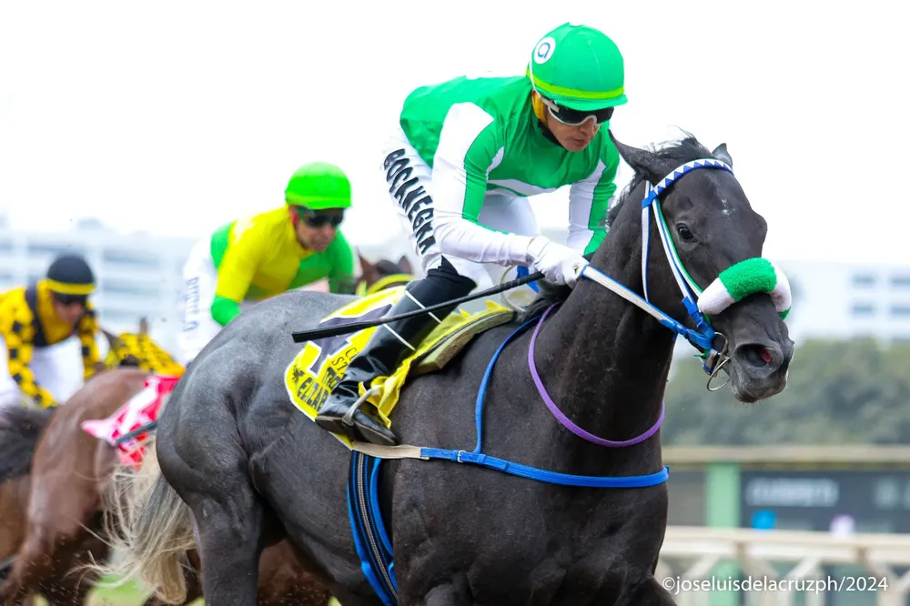 WhatsApp Image 2024-10-07 at 08.55.52