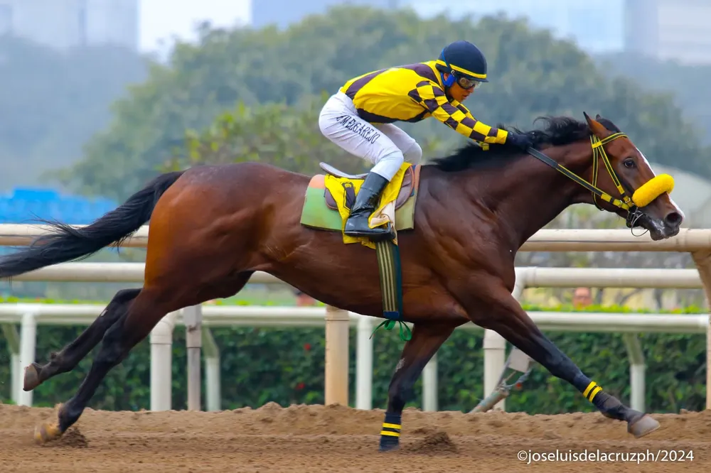 WhatsApp Image 2024-09-01 at 19.42.35 (1)