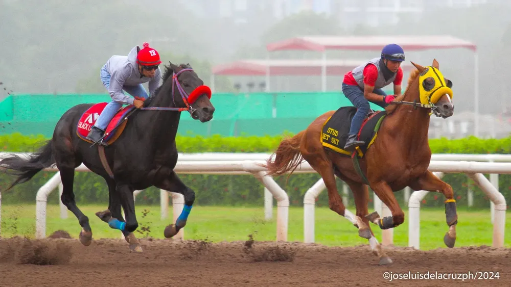 WhatsApp Image 2024-05-06 at 10.03.19