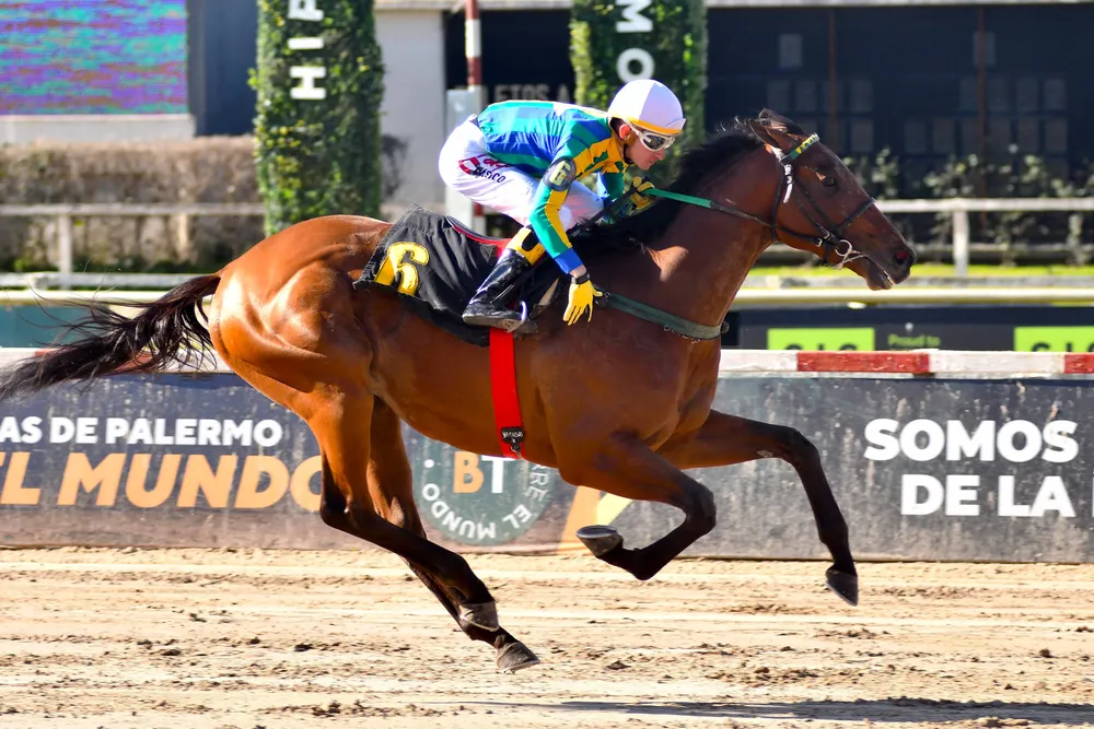 Black Caviar - Martínez