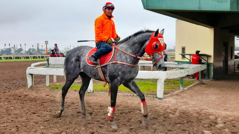 IMG-20231020-WA0001(1)