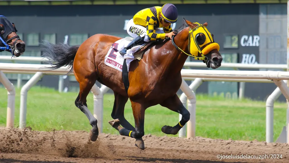 WhatsApp Image 2024-03-16 at 2.54.19 PM