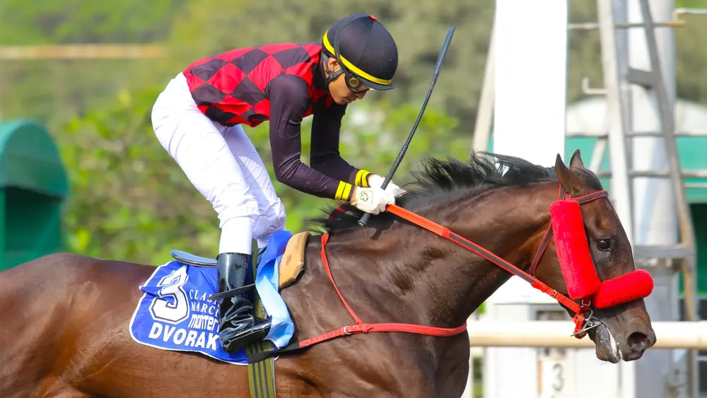 WhatsApp Image 2023-10-28 at 4.12.59 PM