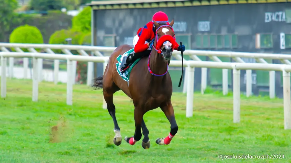 WhatsApp Image 2024-04-01 at 3.08.26 PM