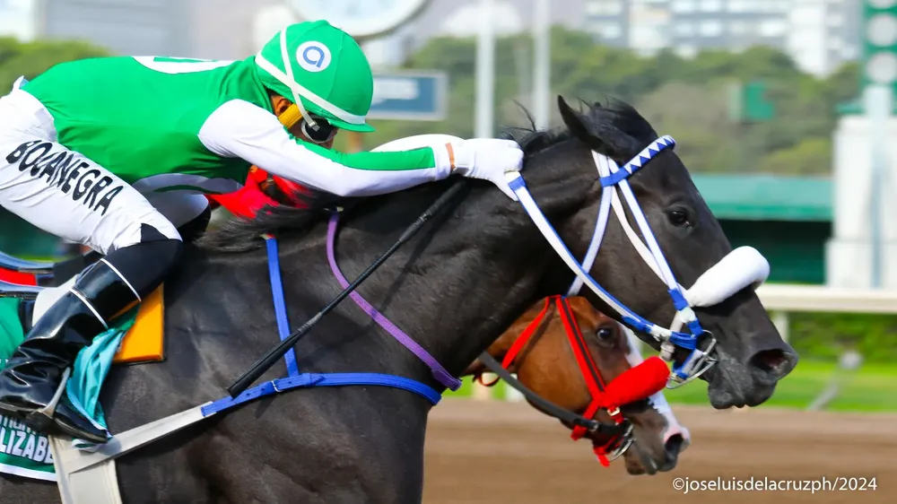 WhatsApp Image 2024-03-17 at 4.37.16 PM