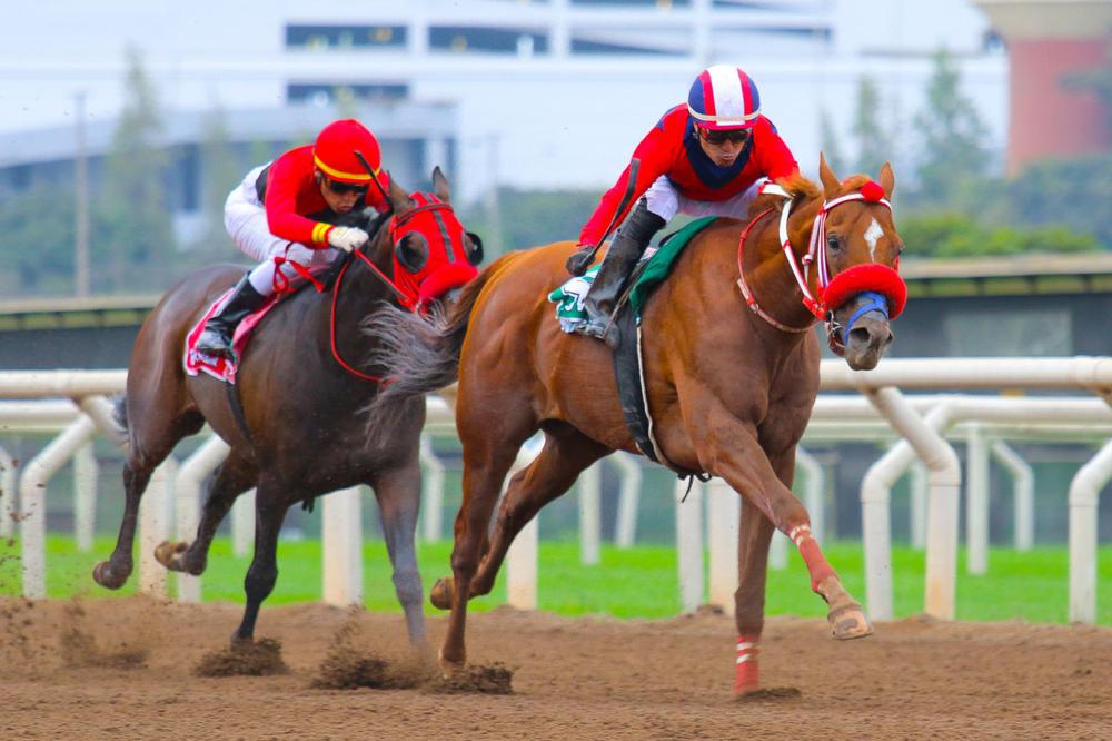 WhatsApp Image 2023-07-16 at 4.52.19 PM