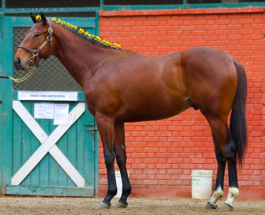 WhatsApp Image 2023-09-13 at 11.33.38 AM